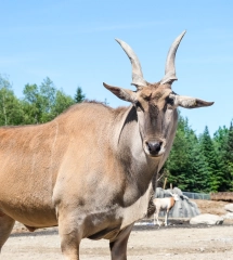 E0 E8 D4 B0 69 FF 4210 B06 B 355493 CB5 DD4 4651 000001 FB1 D597 FFE 2