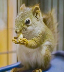 Miller Zoo 26 juin 9