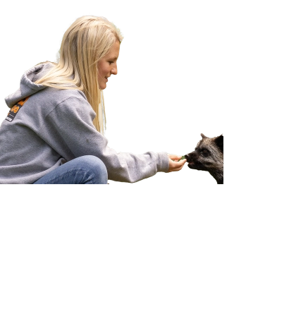 Visite vip top layer