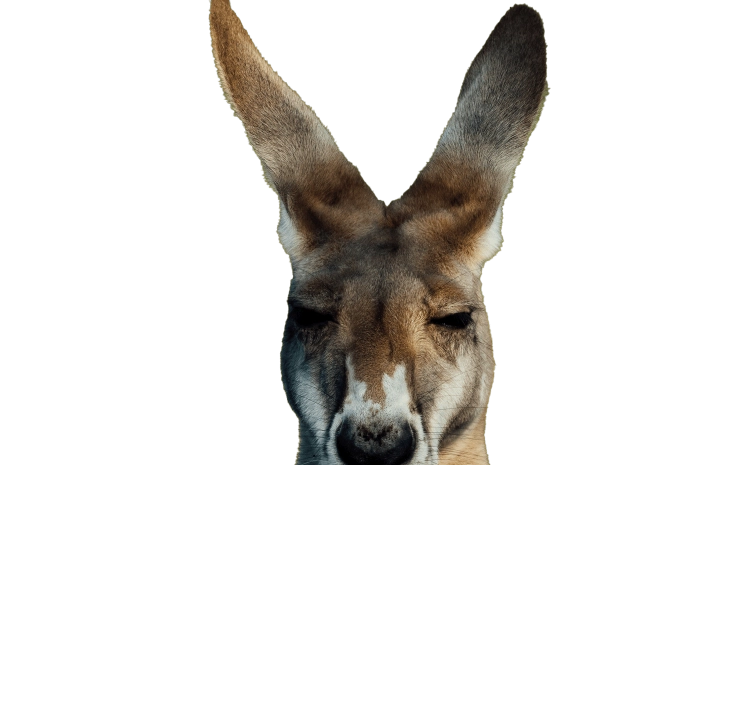 Content kangourou hover